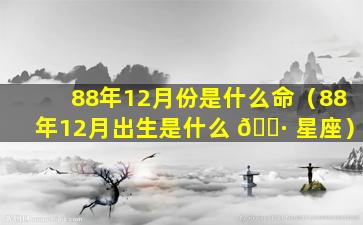 88年12月份是什么命（88年12月出生是什么 🕷 星座）